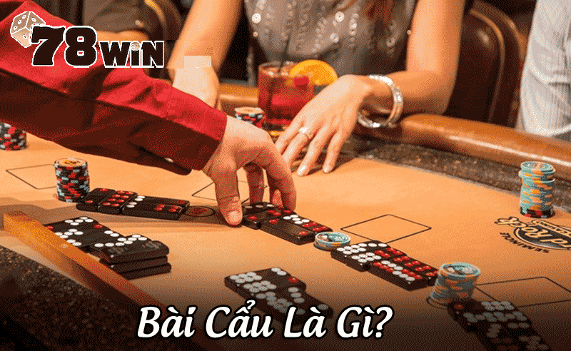 Bài cẩu là gì?